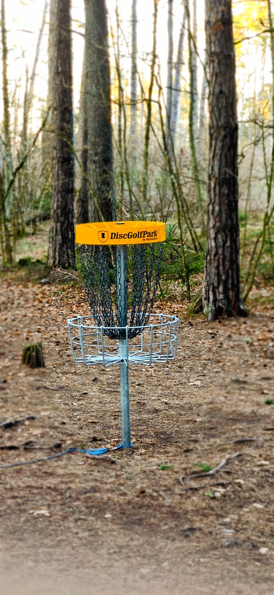Basket hole 2
