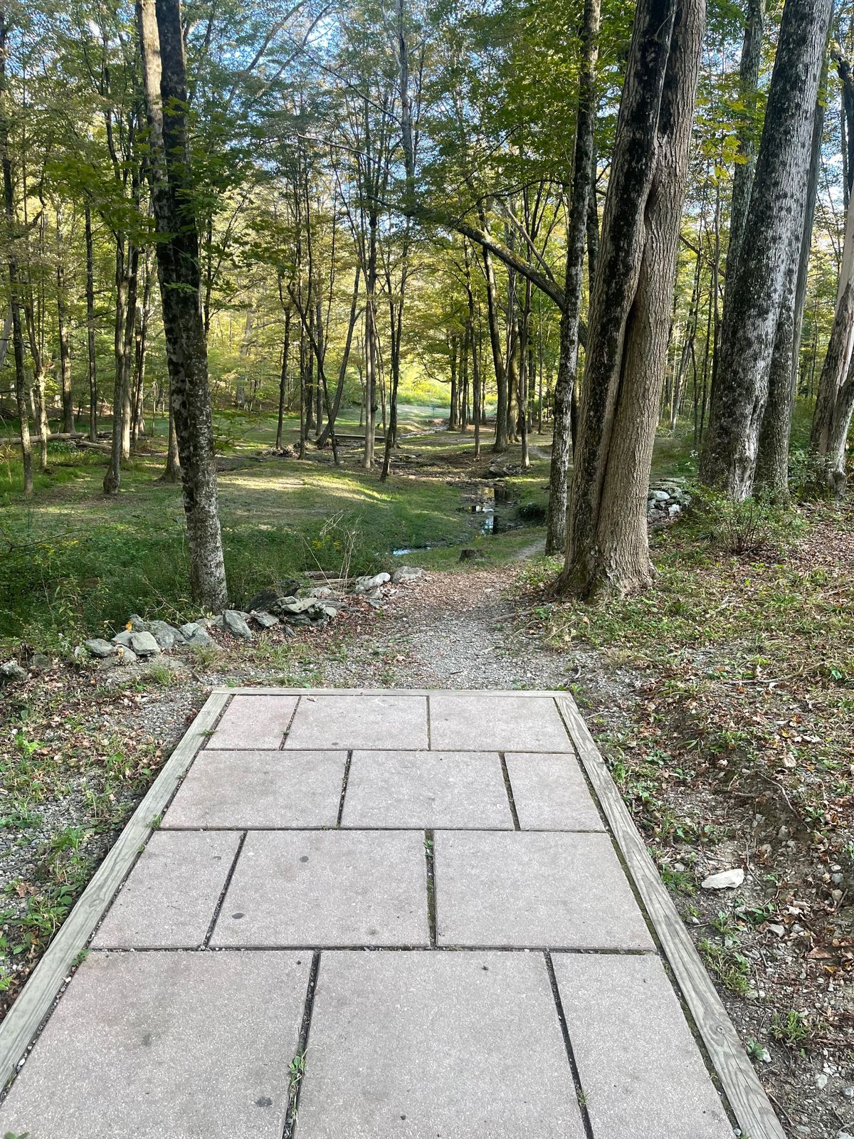 Hole 3 red /blue south hatchet