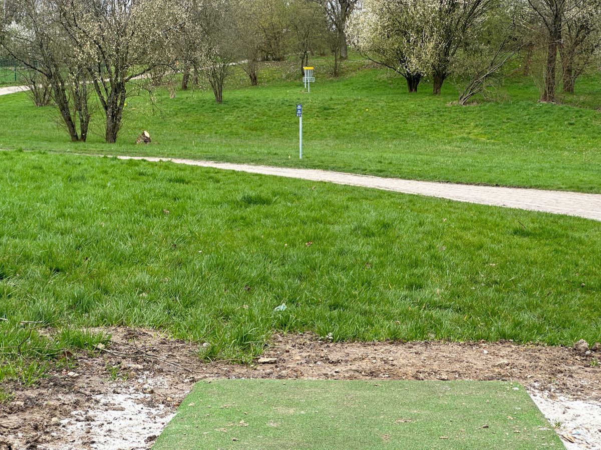 Tee 4