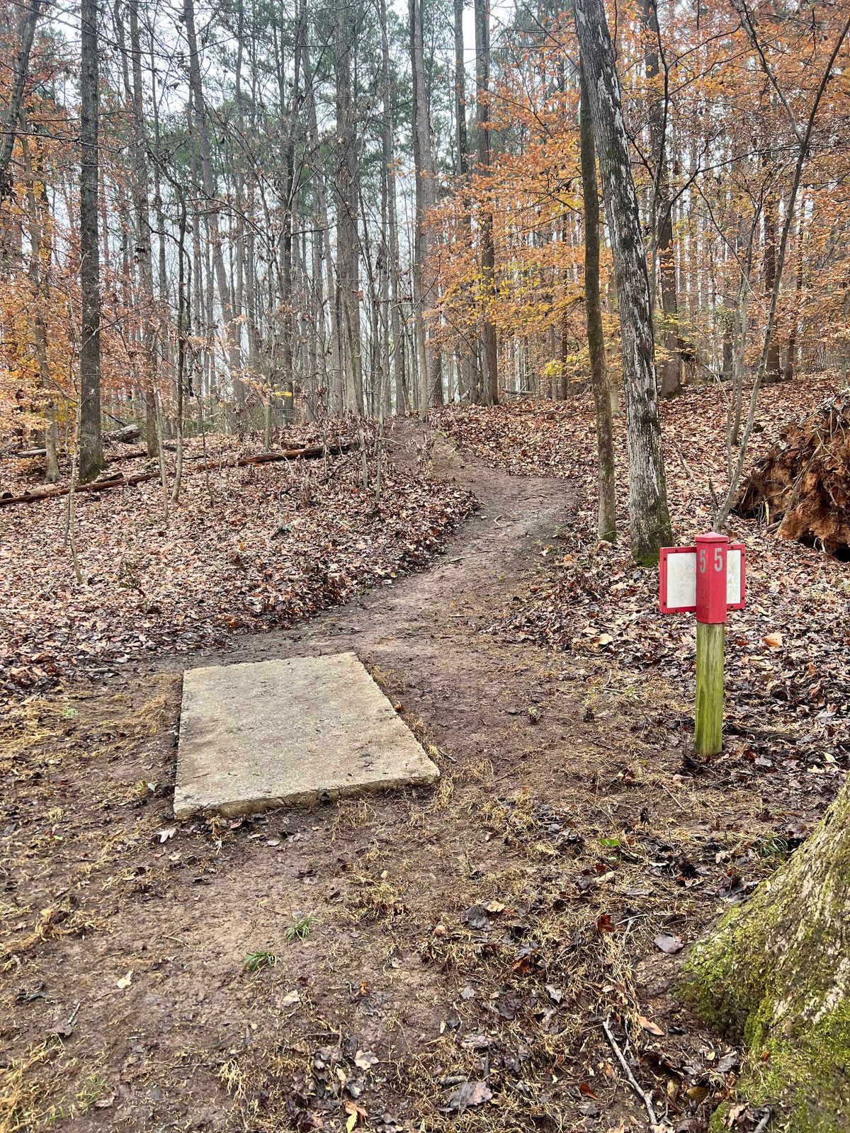 Trail from hole 4 basket to hole 5 tee.
