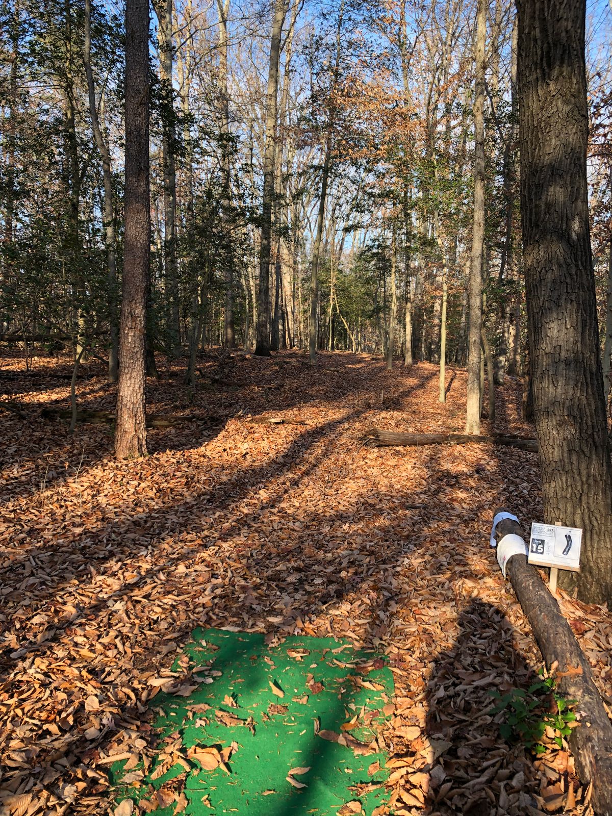 Hole 15 tee