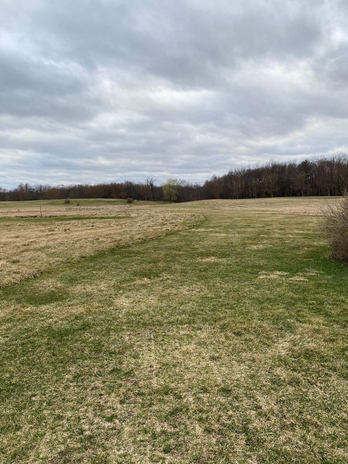 Hole 8 tee