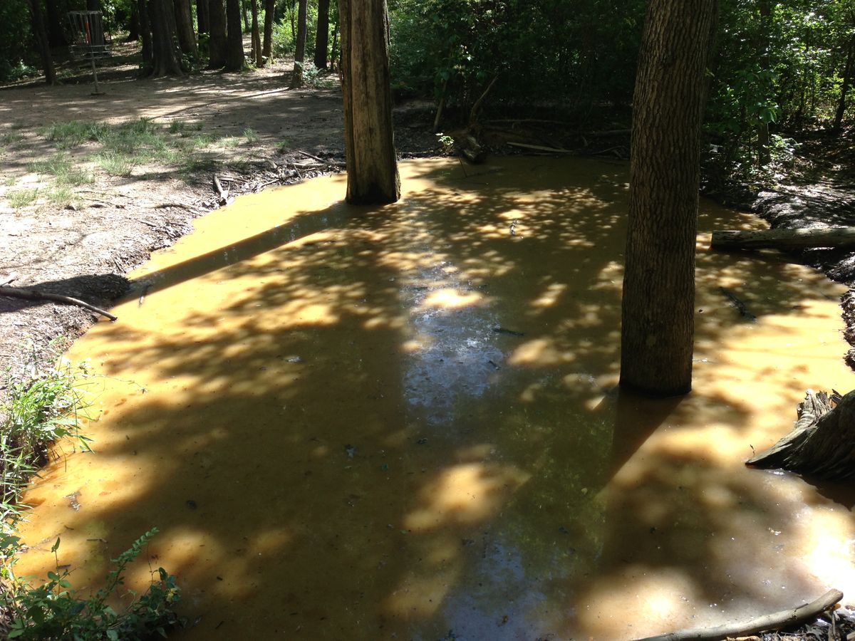 Hole 12