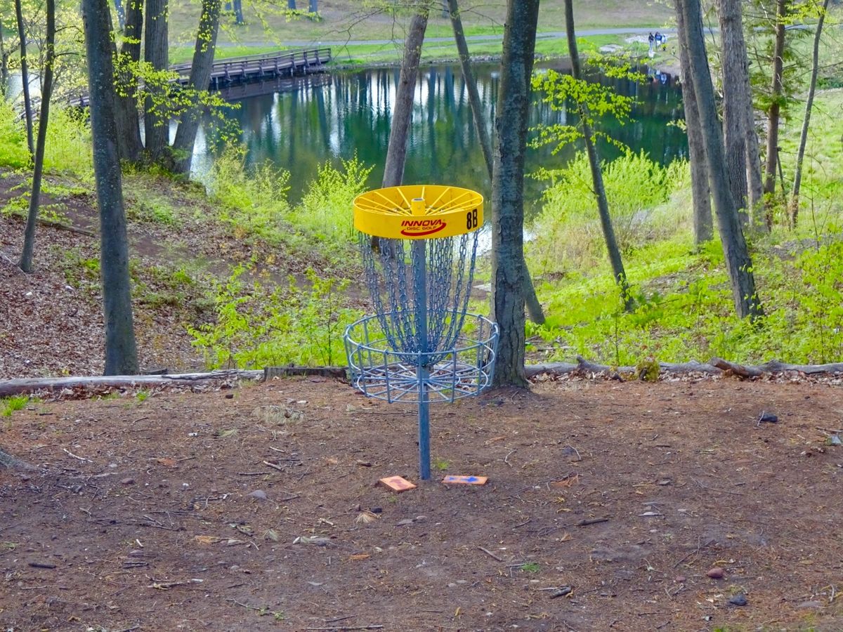 Hole 8B basket