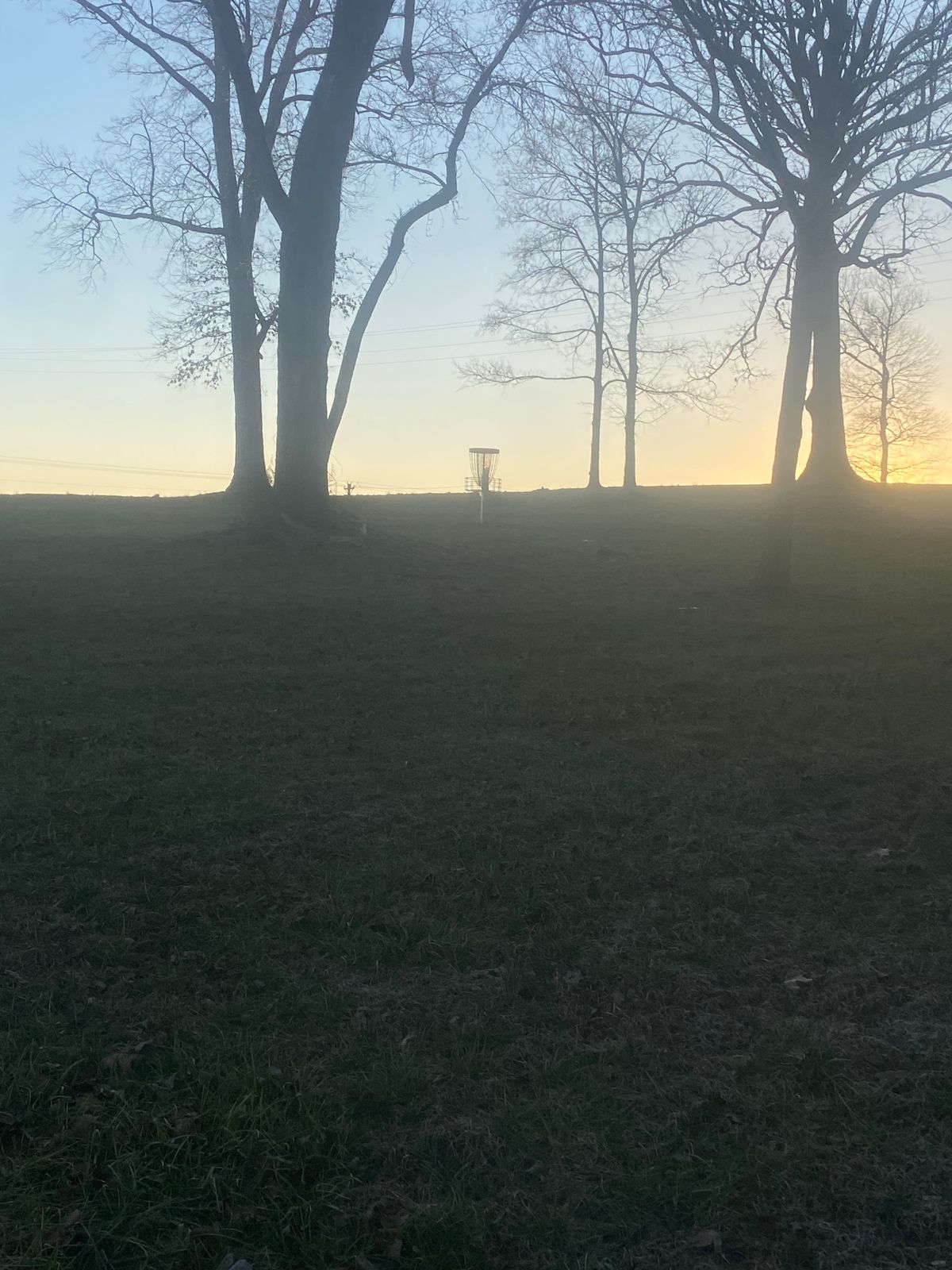 Hole 3’s basket