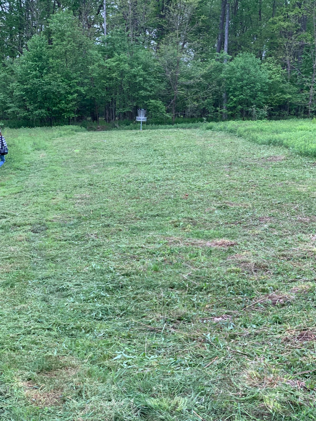 Hole 7