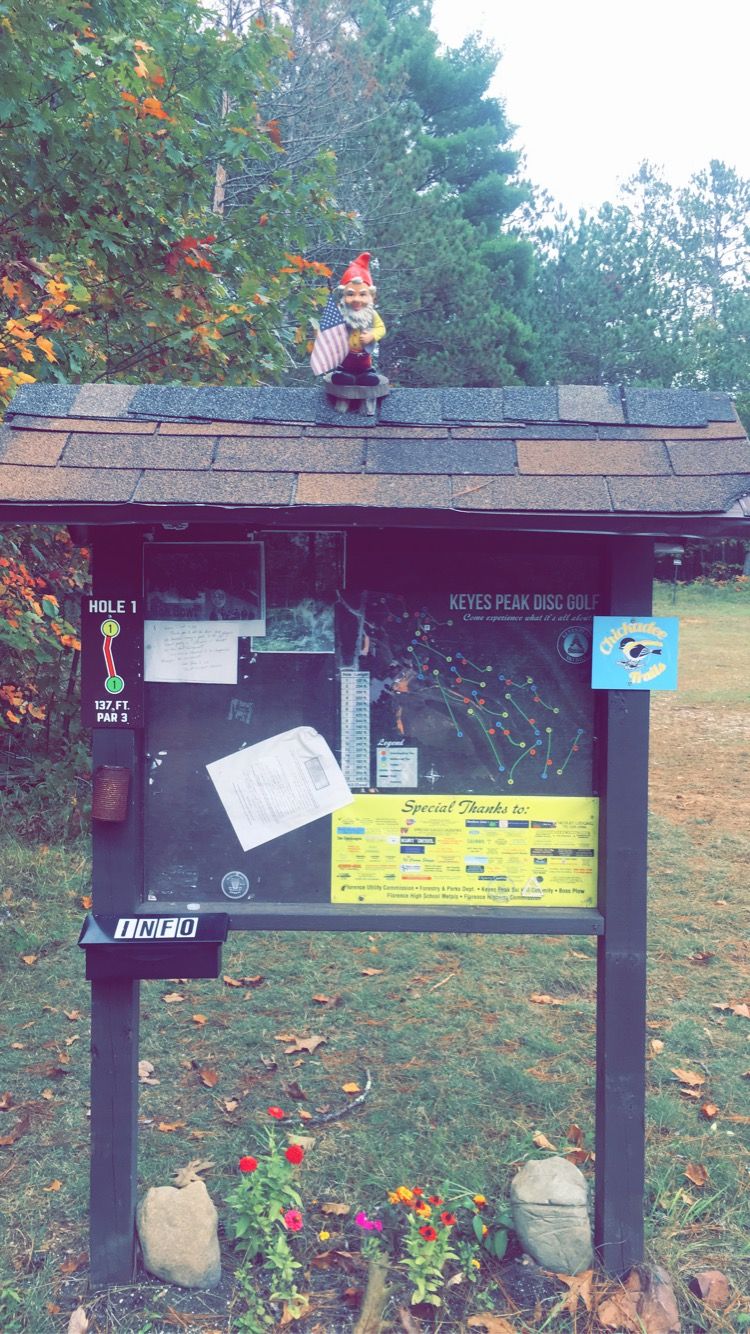 Hole 1 and info board.