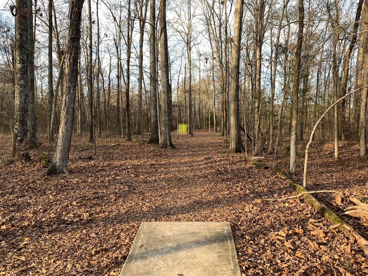 Hole 16, basket position highlighted