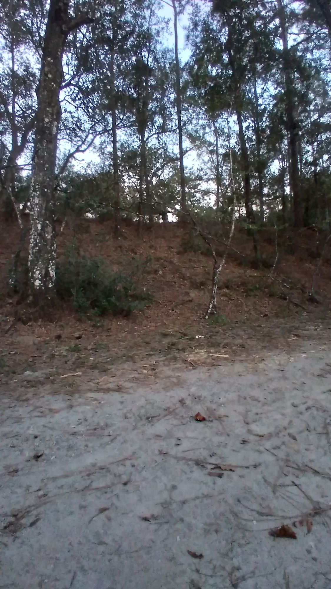 #10 View from when you don't throw straight!