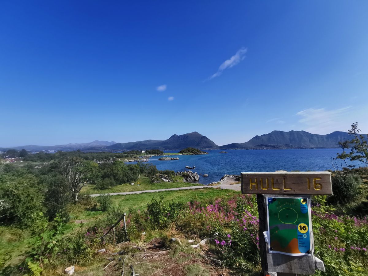 What a view!