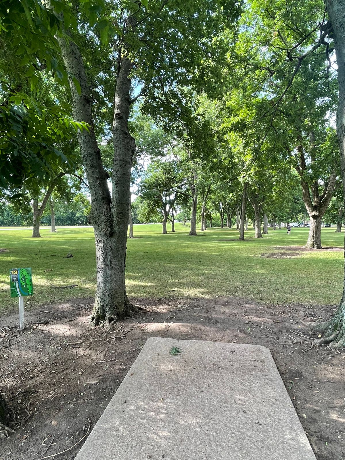 Hole 18 short tee pad
