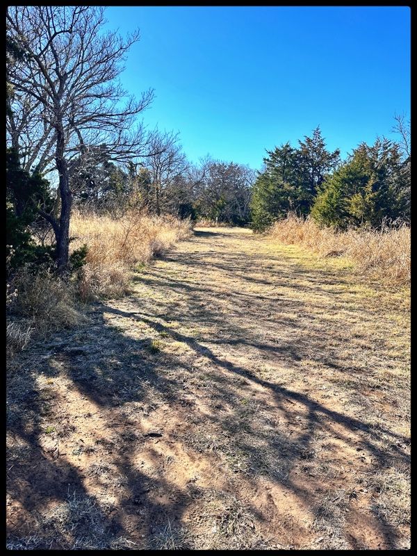 #8 fairway looking towards basket to right