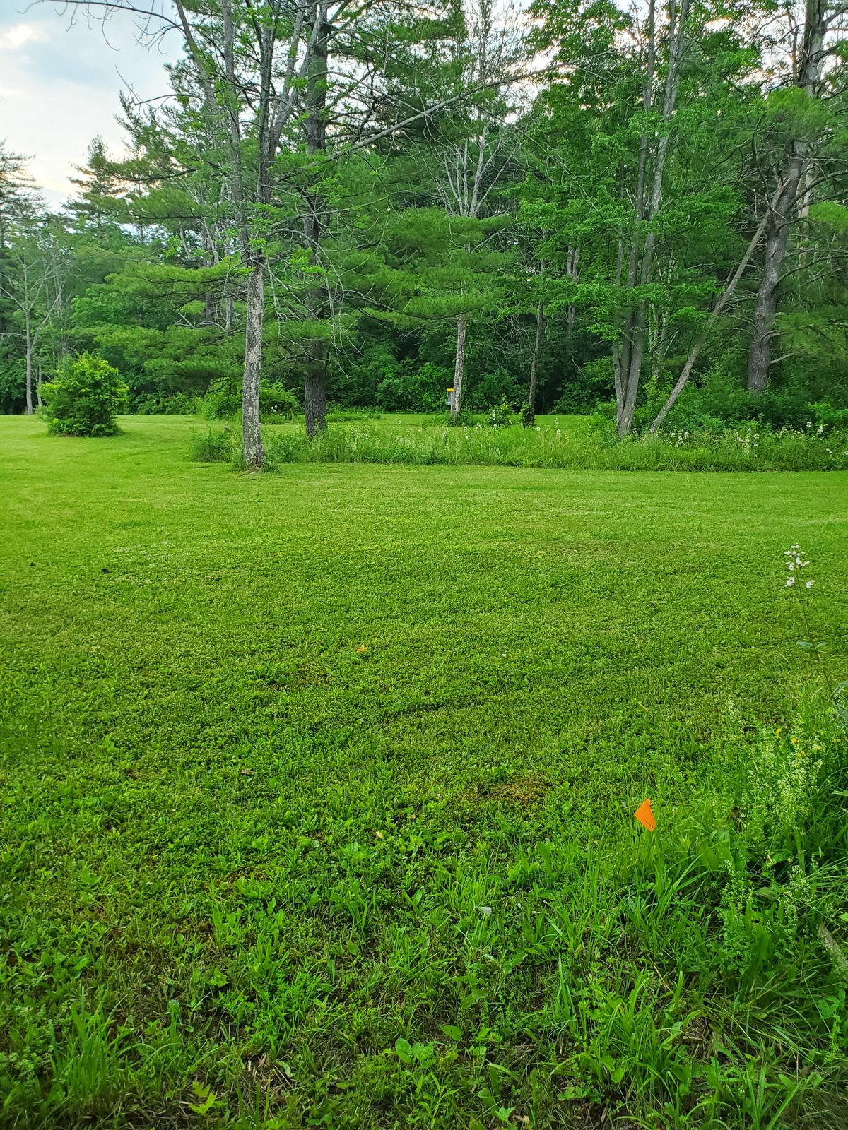 Hole 5 White  Pre Installation 
 Tee Installation is different location near by