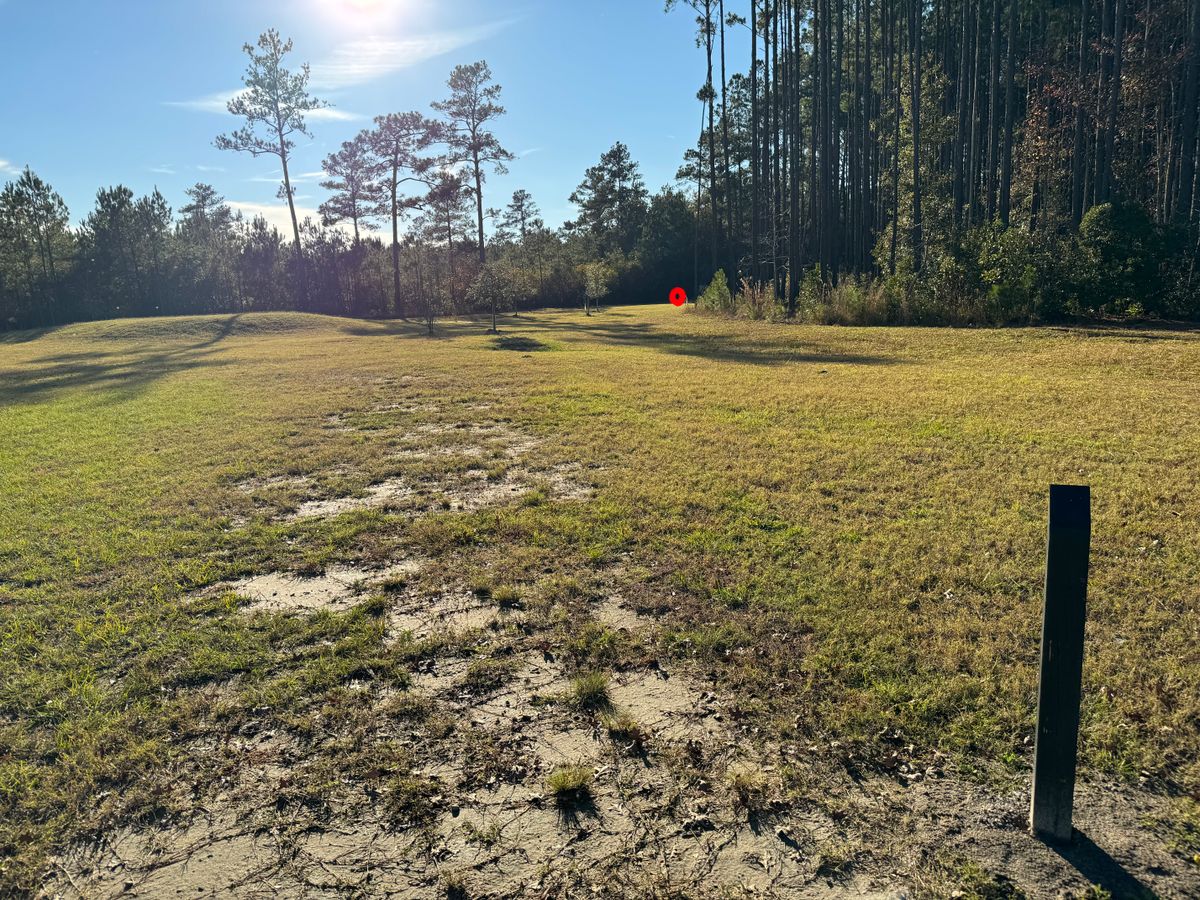 #7 fairway