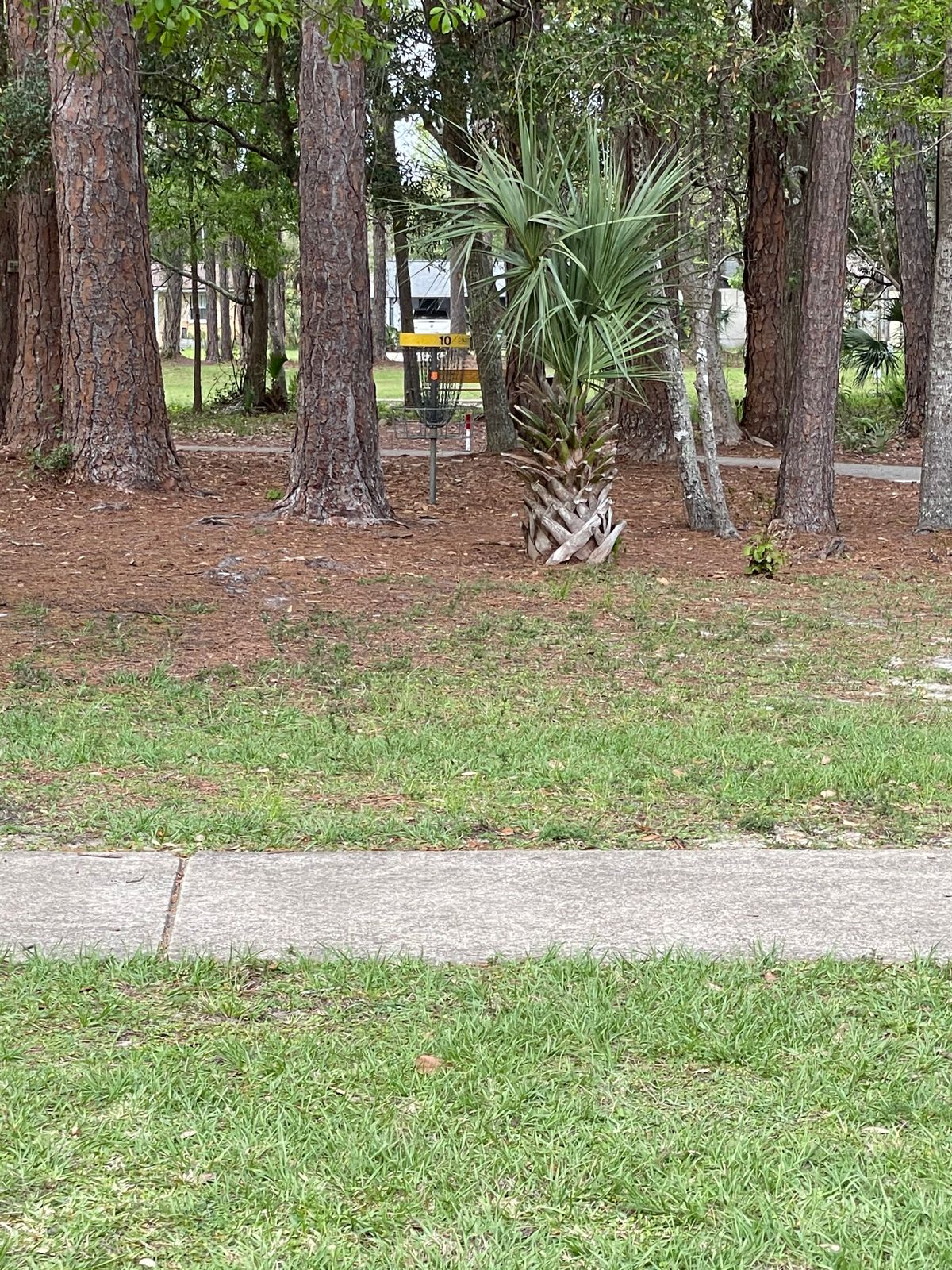 Fun placement. Hyzer or forehand to get behind on 11.
