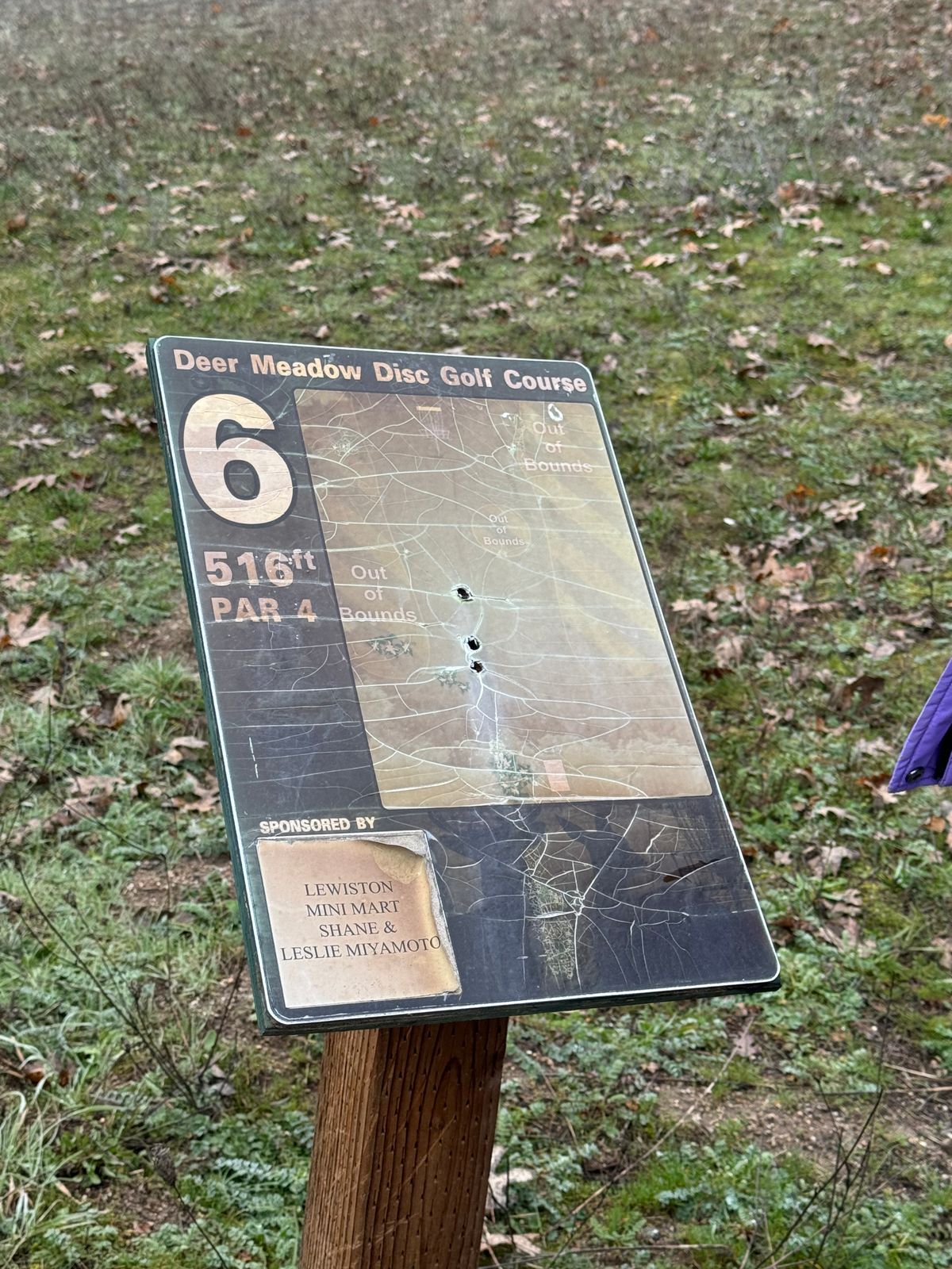 Hole 6 Map