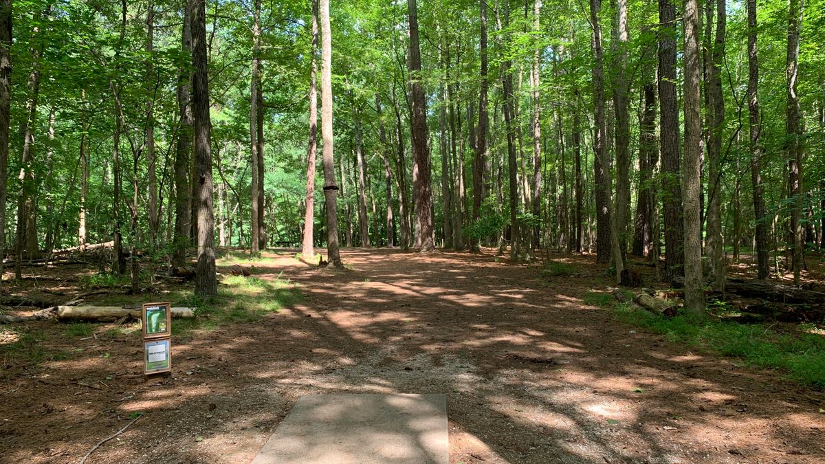 Hole 9