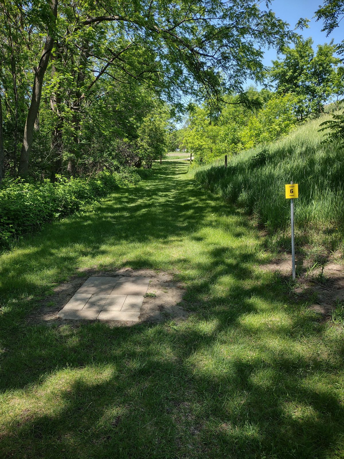 Hole #6 yellow tee