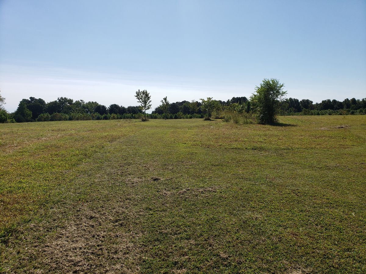 Hole 3.