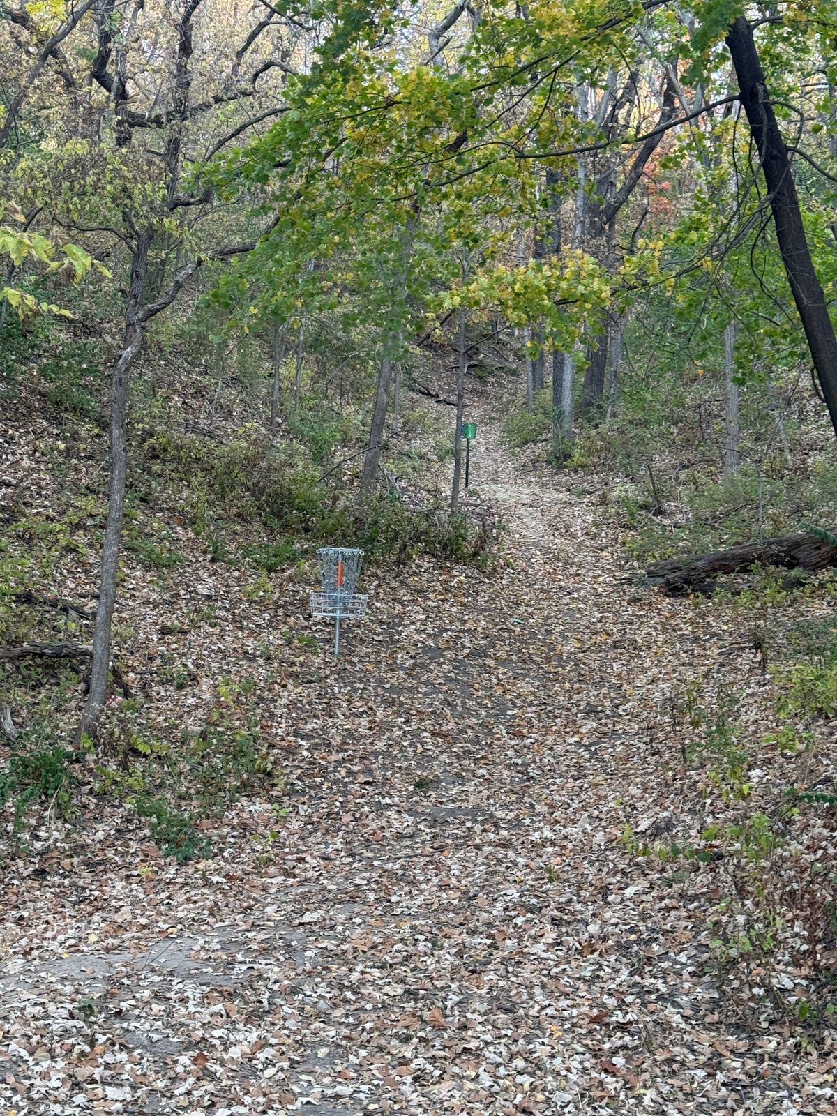 Basket of 9 (8 in app) and Hole 10 tee pad (hole 9 in app)