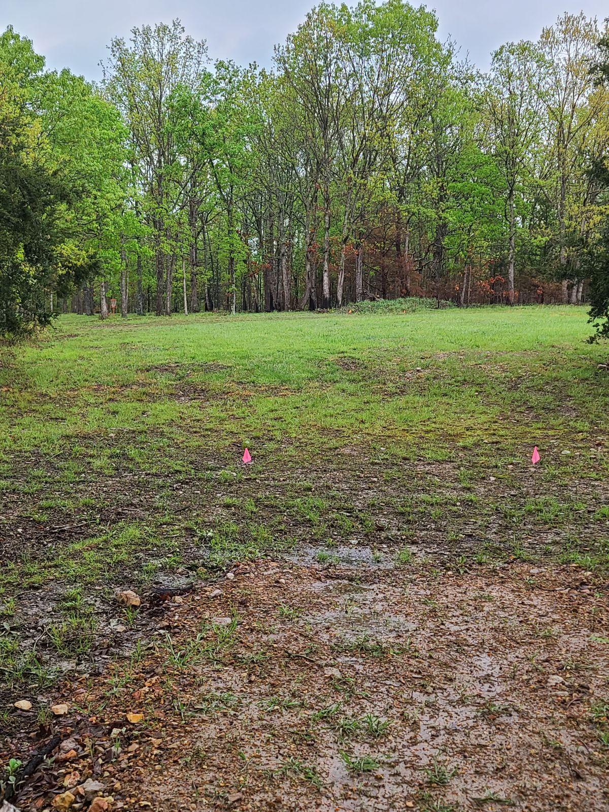 Hole 6 A pad