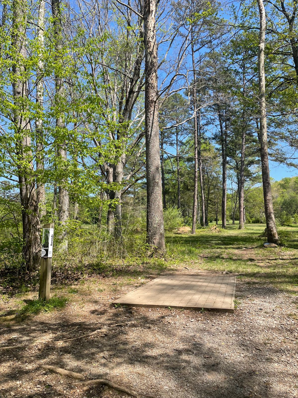 The view of hole 11.