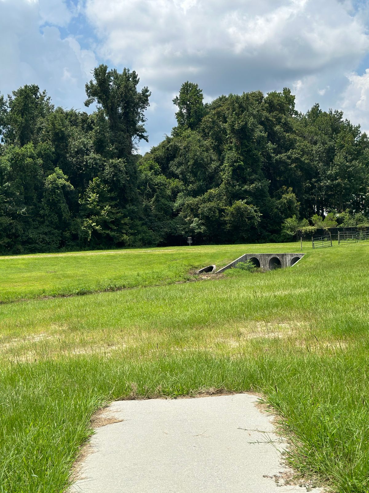 Hole 1 310 feet
