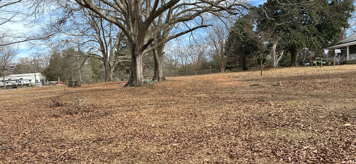 Hole 5
