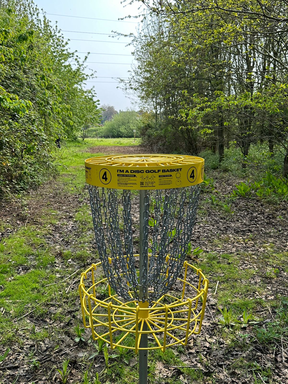 Look back through trees hole 4 basket