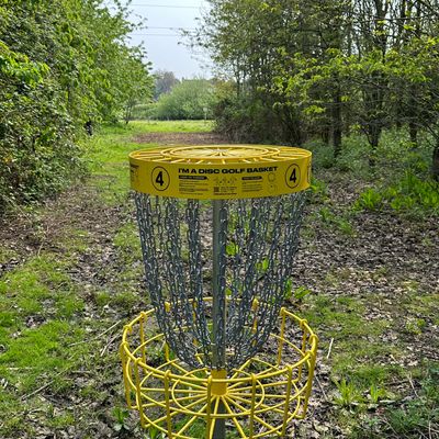 Look back through trees hole 4 basket