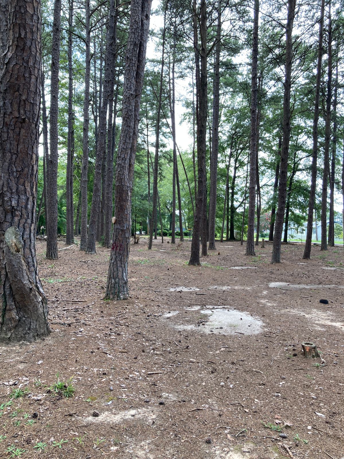 Hole 4 - landing zone for a good drive.