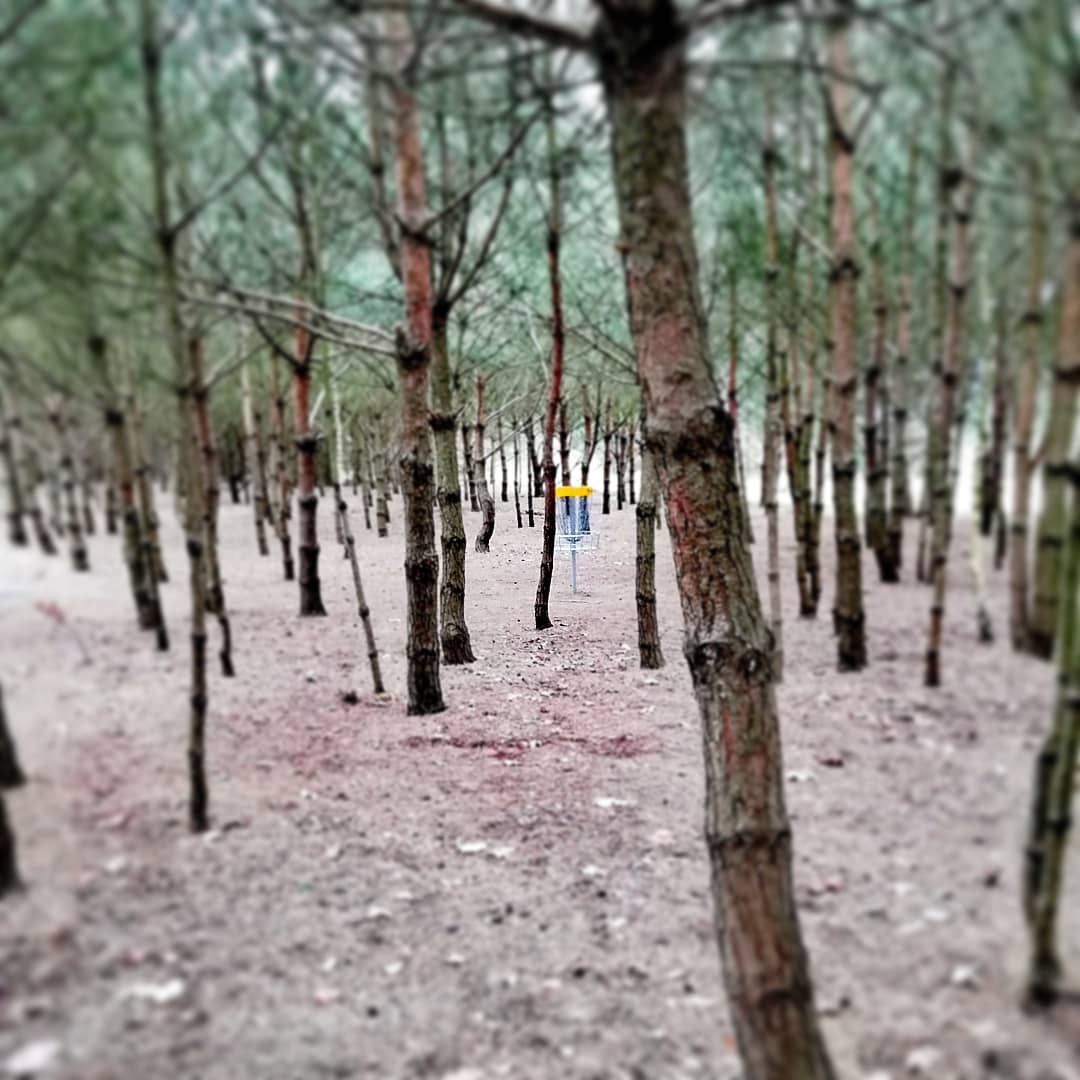 Hole No. 4