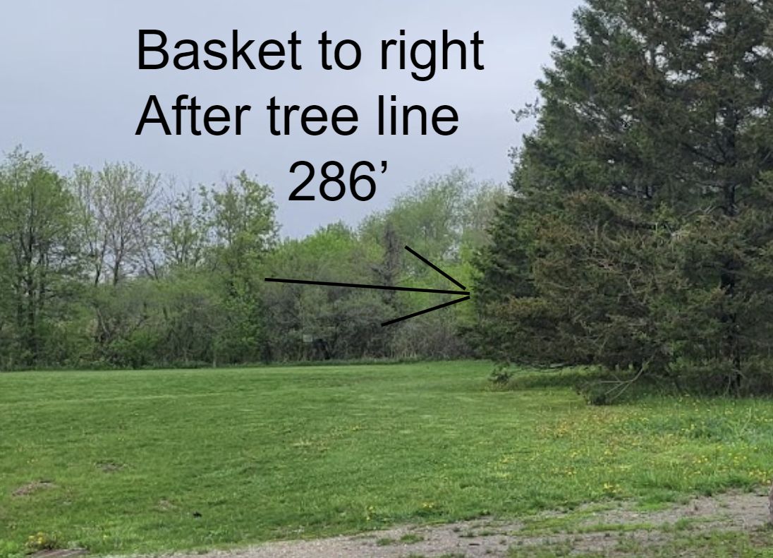Hole 3 past the first set of pines on the right. Under/behind the right (north) side of the second set of pines