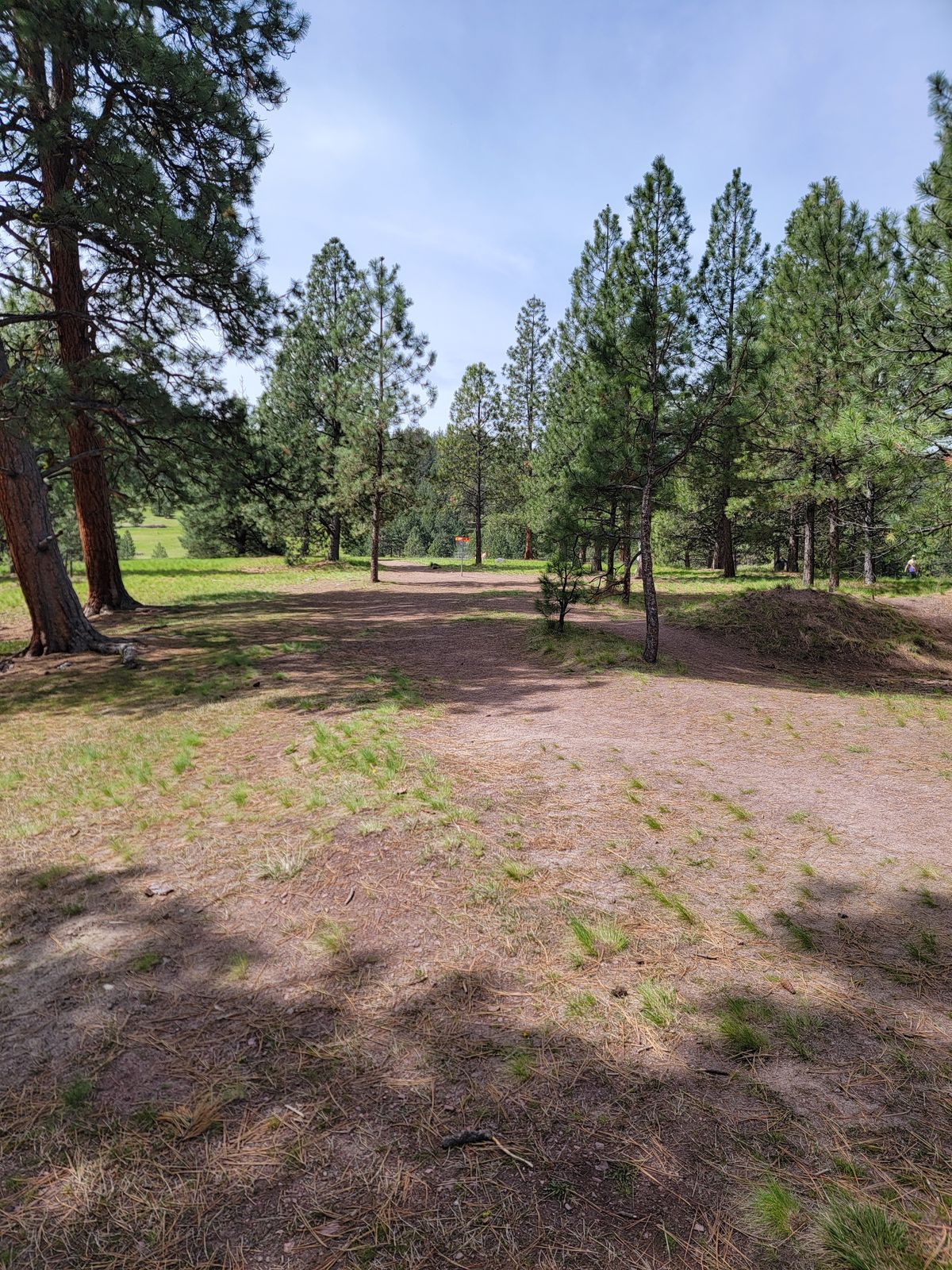 Hole 8