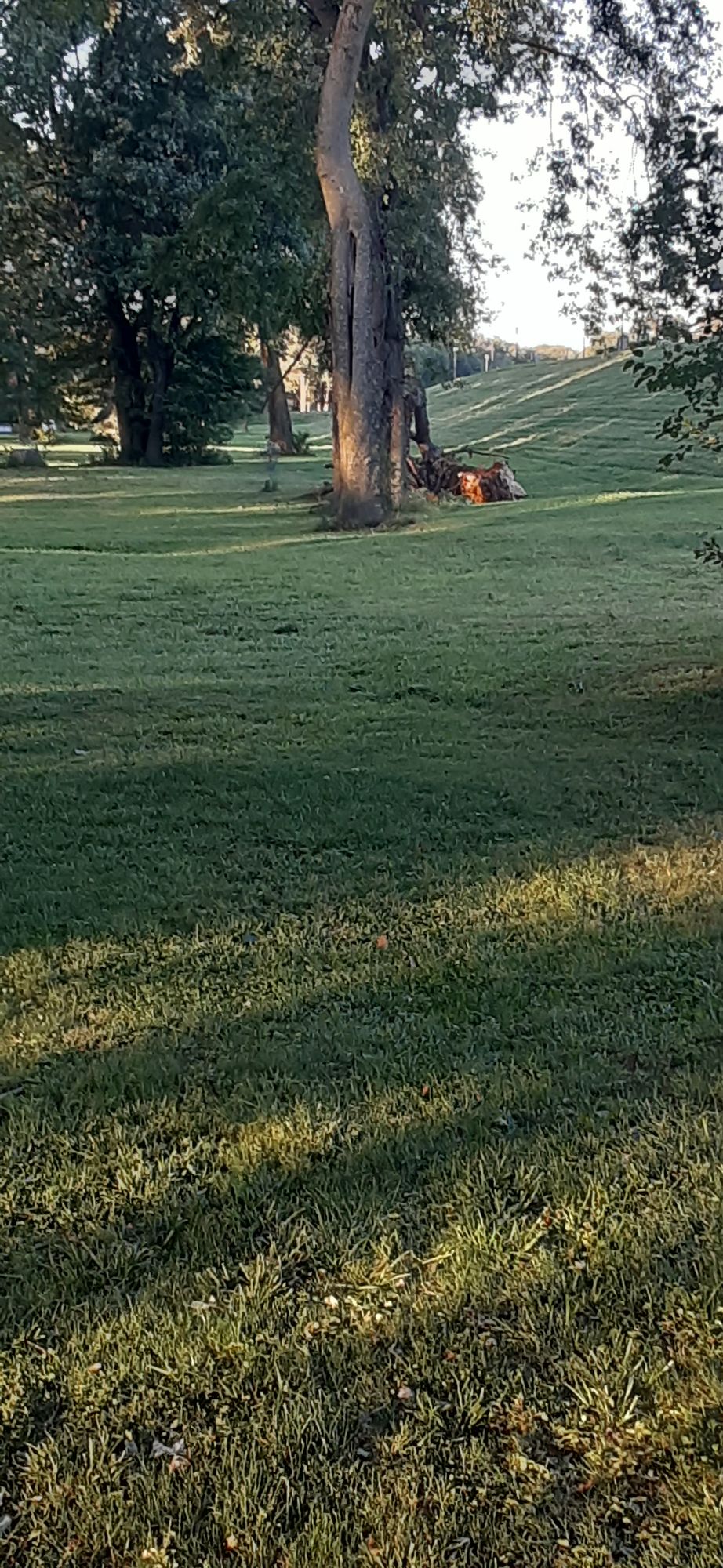 Hole 7 from tee