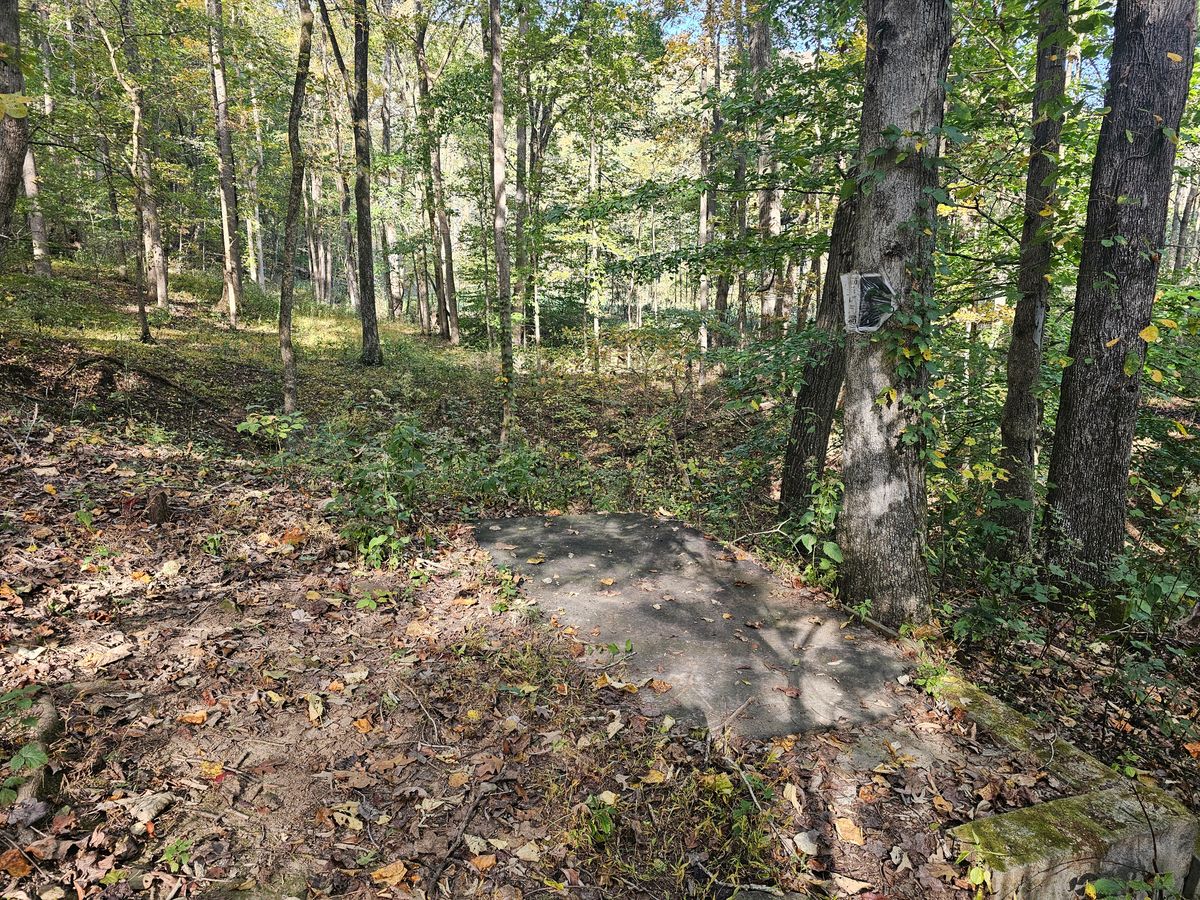 Hole 3 tee box. Udisc shows tee box on road/pathway instead.