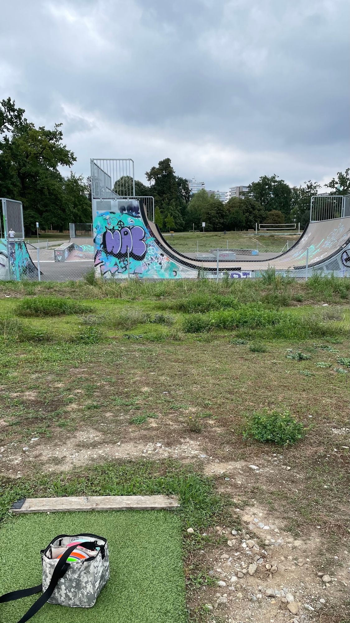 Hole 3, throw THRU the skate park and half pipe. Be cautious of skaters!
