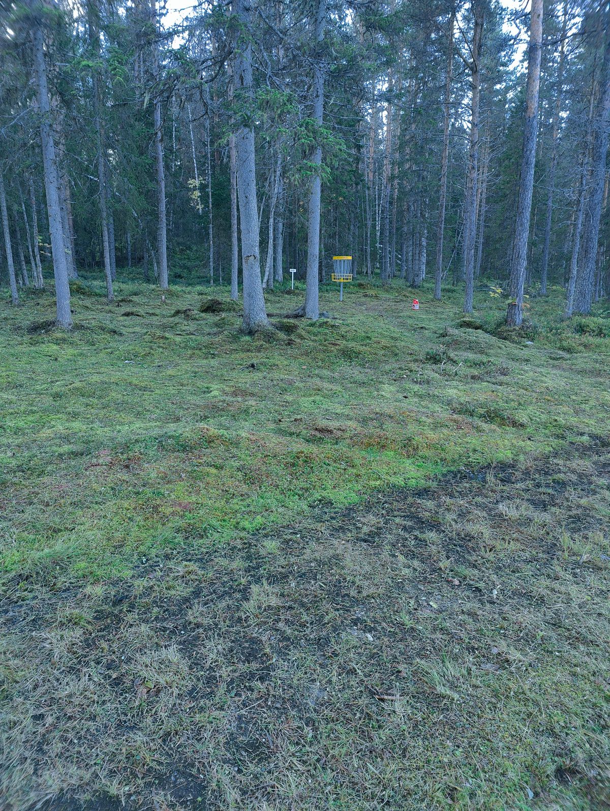Green hål 3