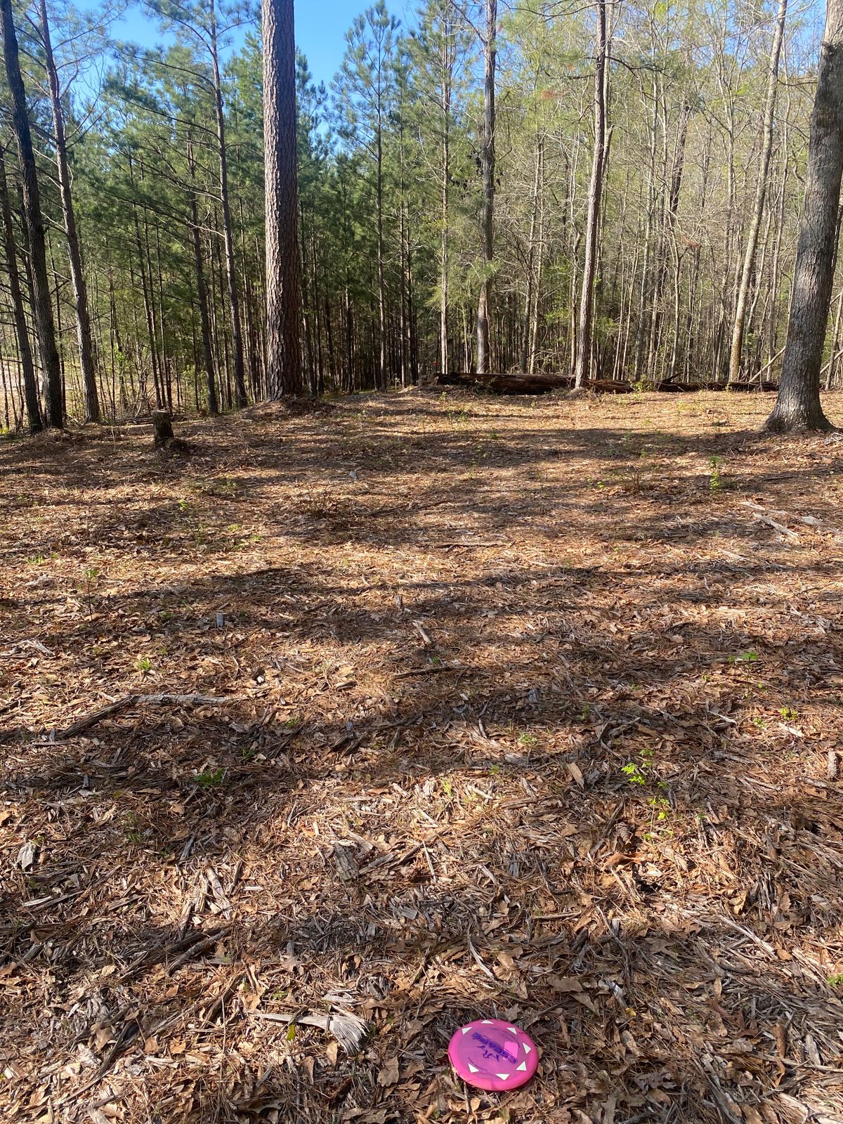 Fairway towards basket