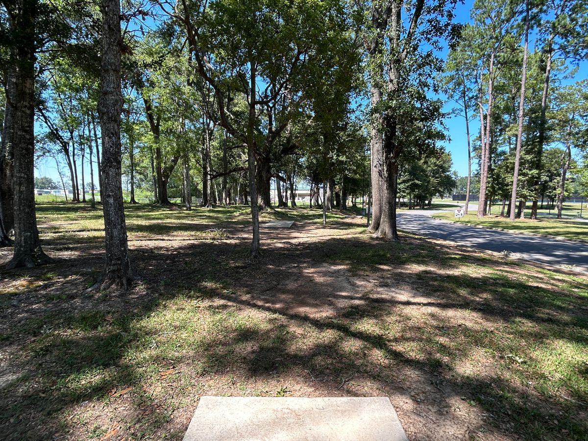 Hole 17 Fairway (White)