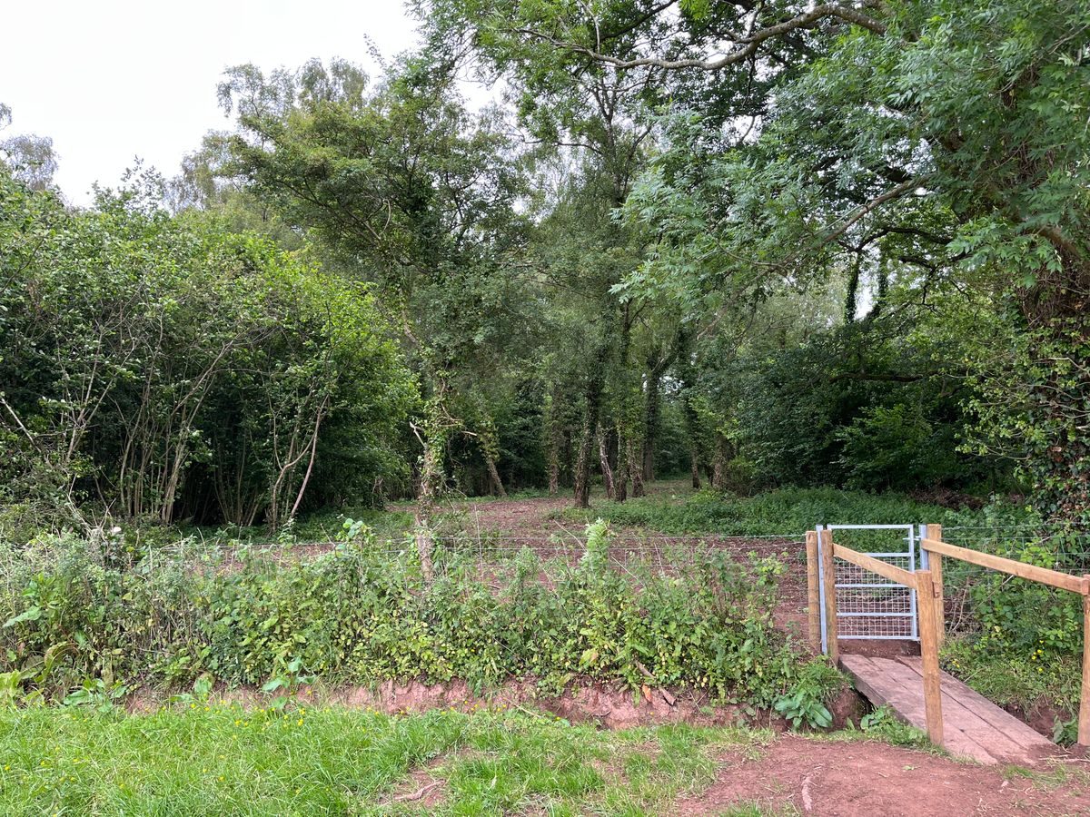 Hole 7 looking into the woods from third down fairway