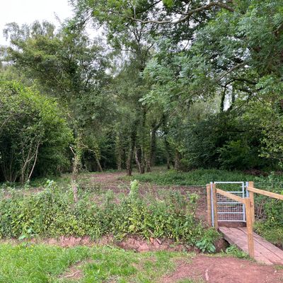 Hole 7 looking into the woods from third down fairway