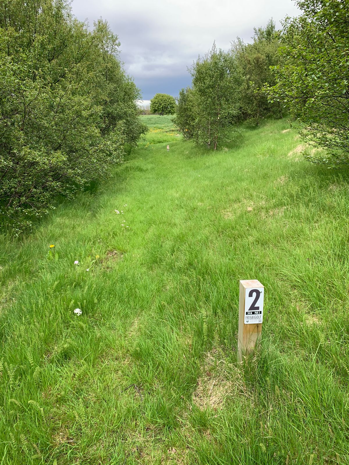 2nd hole