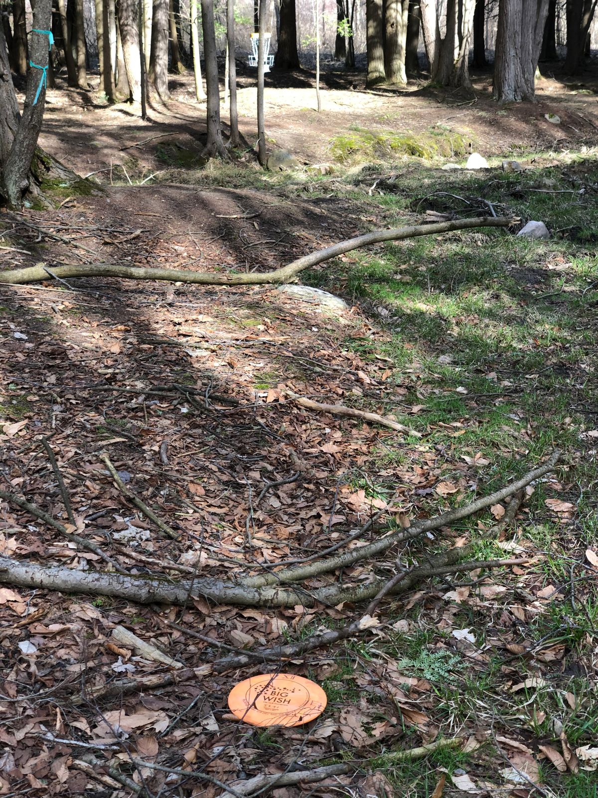 Hole 14 up shot.