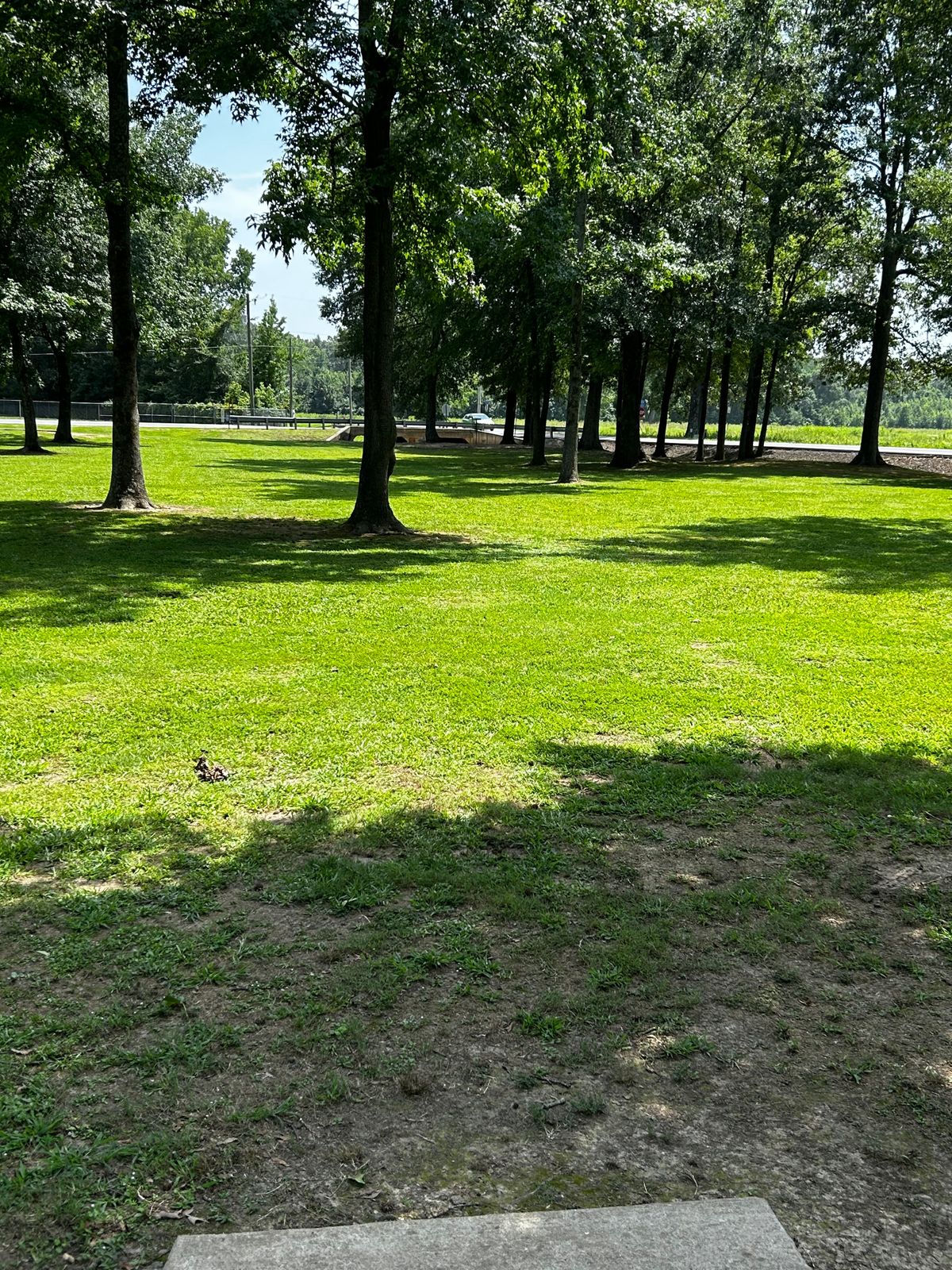 Good placement of trees