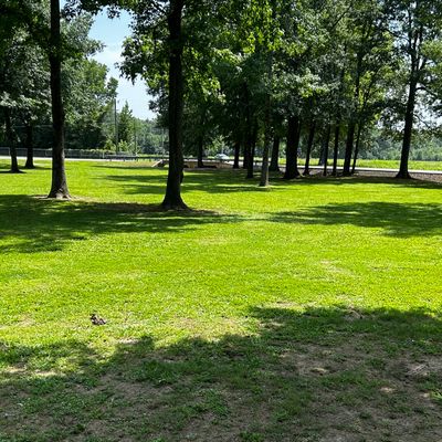 Good placement of trees