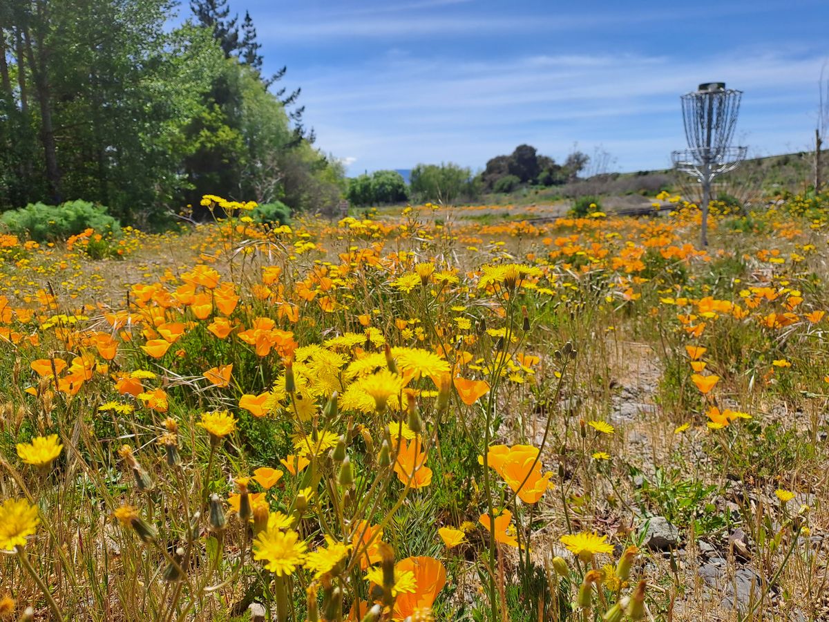 Hole 3 by the river with lots of wild flowers.