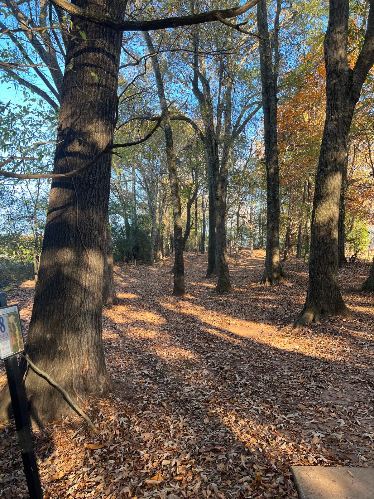 Hole 8
