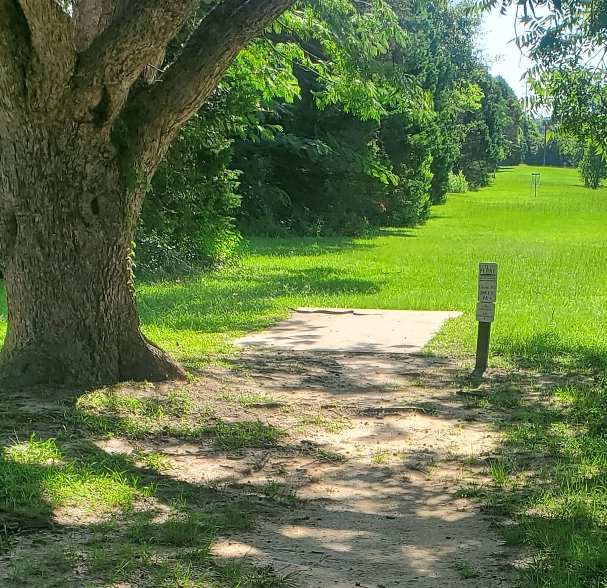 July 24th. 10am. Rosario park has not been mowed. Snake on the tee pad at hole #2