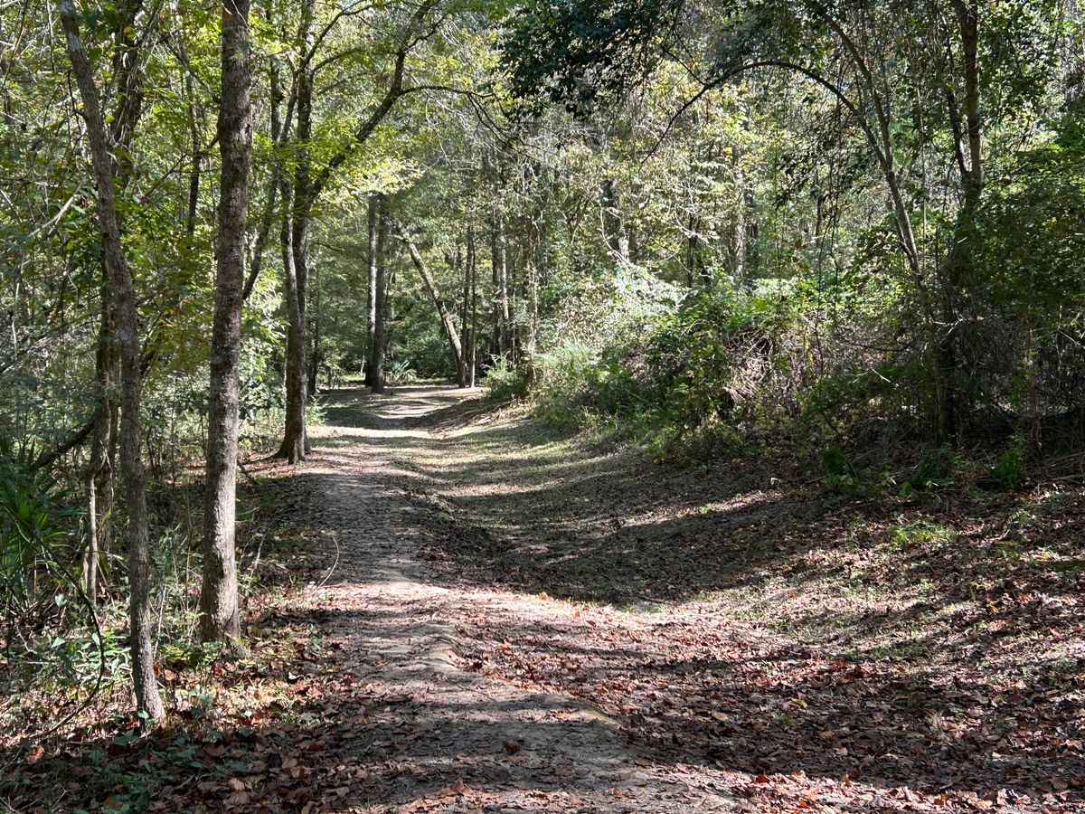 Hole 6 Fairway